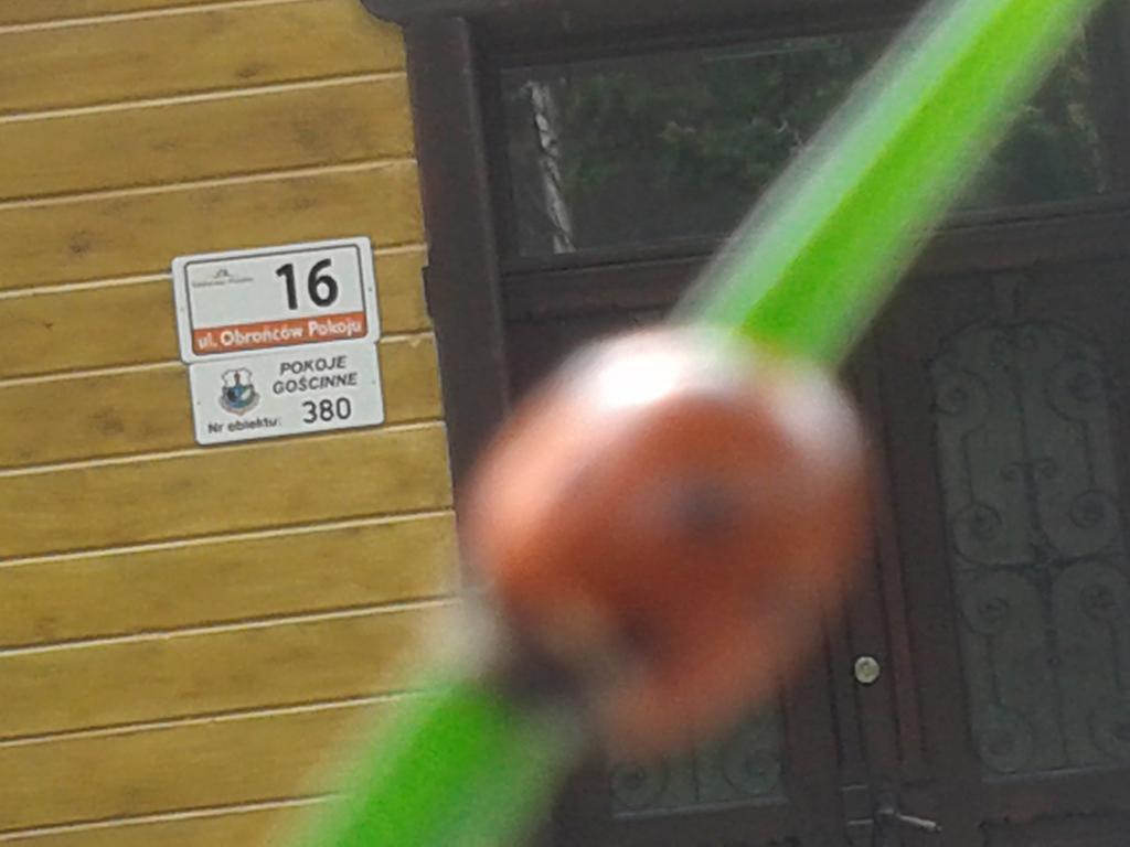 Nimfa W Centrum * Szklarska Poręba