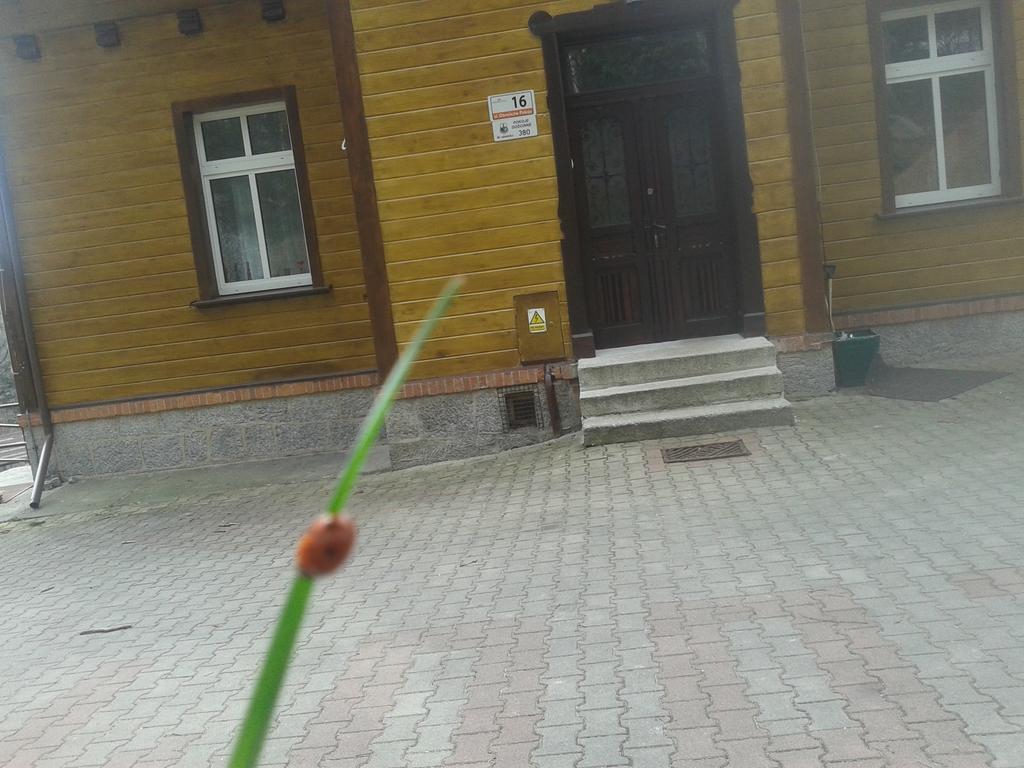 Nimfa W Centrum Leilighet Szklarska Poręba